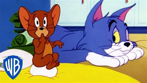 videos de tom y jerry|tom y jerry youtube español.